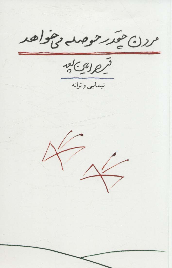 دفتر شعر نو 1 (مردن چقدر حوصله می خواهد:نیمایی و ترانه)