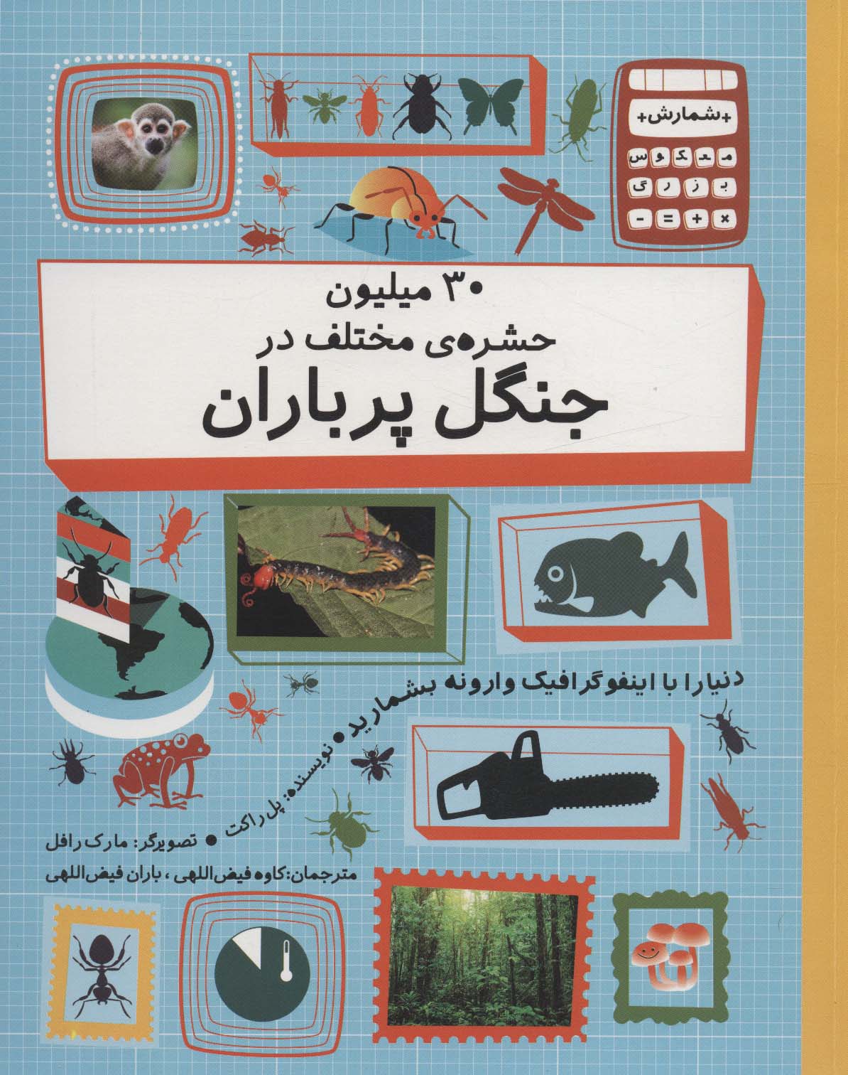 30 میلیون حشره ی مختلف در چنگل پر باران (دنیا را با اینفوگرافیک وارونه بشمارید)،(گلاسه)