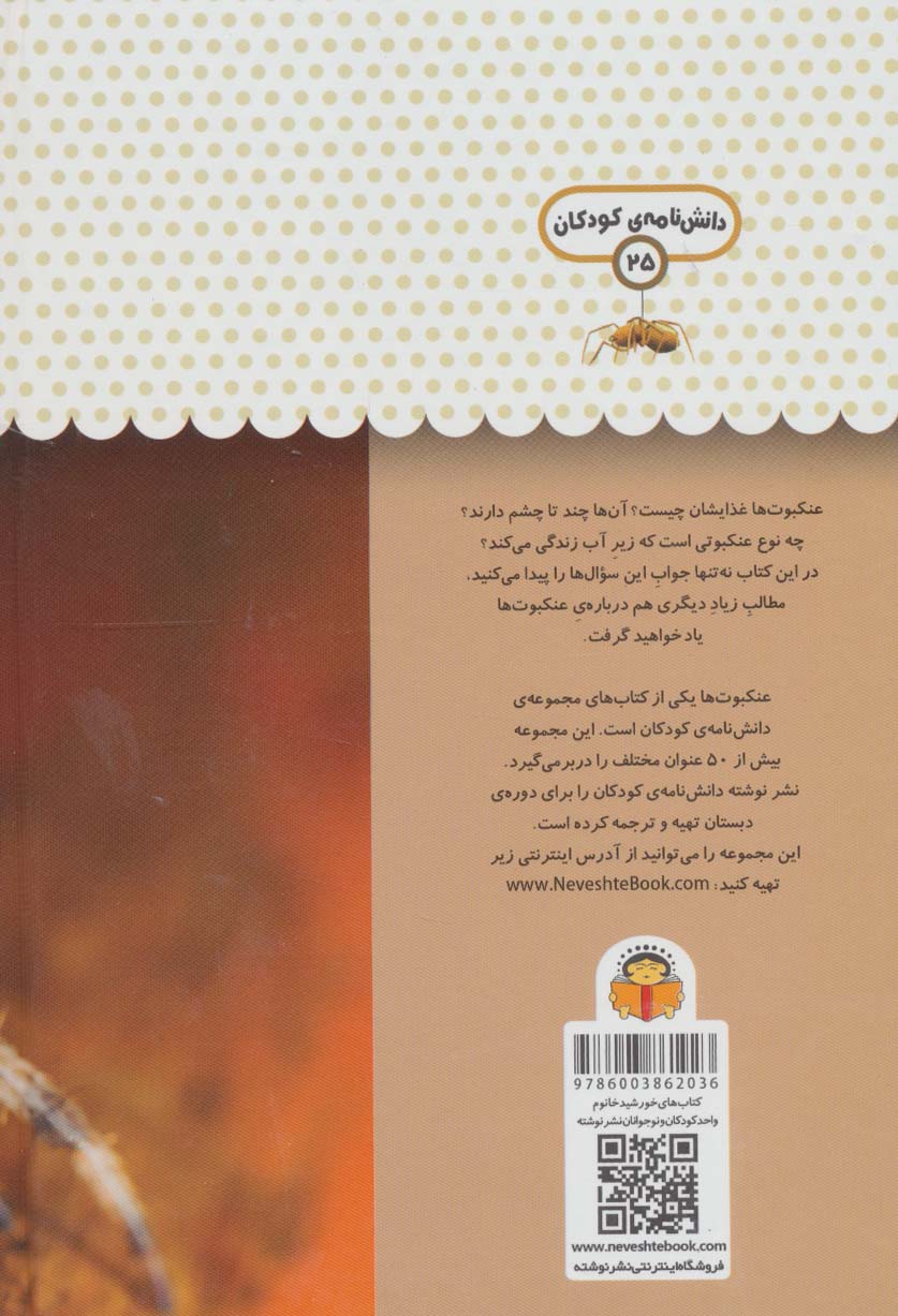 یک فنجان دانستنی درباره ی عنکبوت ها (دانش نامه ی کودکان25)،(گلاسه)