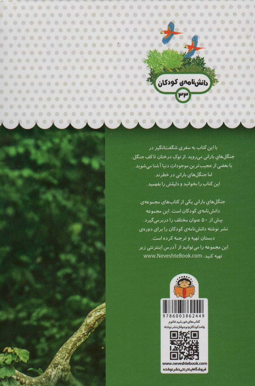 یک فنجان دانستنی درباره ی جنگل های بارانی (دانش نامه ی کودکان33)،(گلاسه)