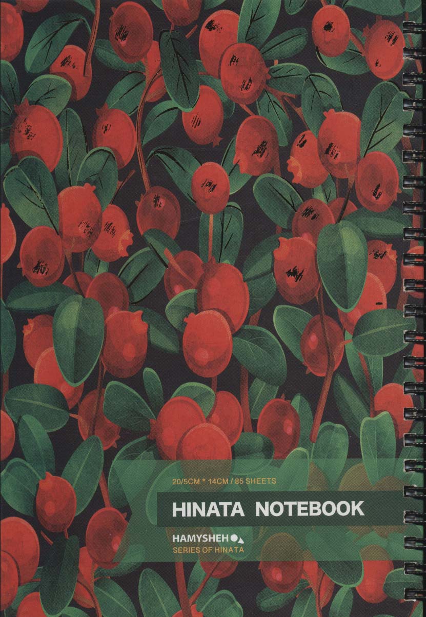 دفتر خط دار (HINATA NOTEBOOK)،(کد 338)،(سیمی)