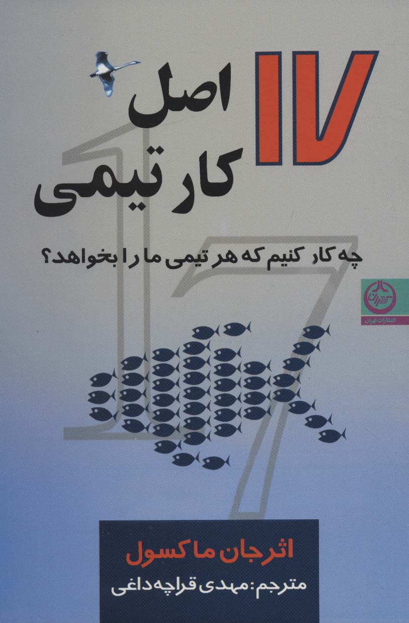 17 اصل کار تیمی (چه کار کنیم که هر تیمی ما را بخواهد؟)