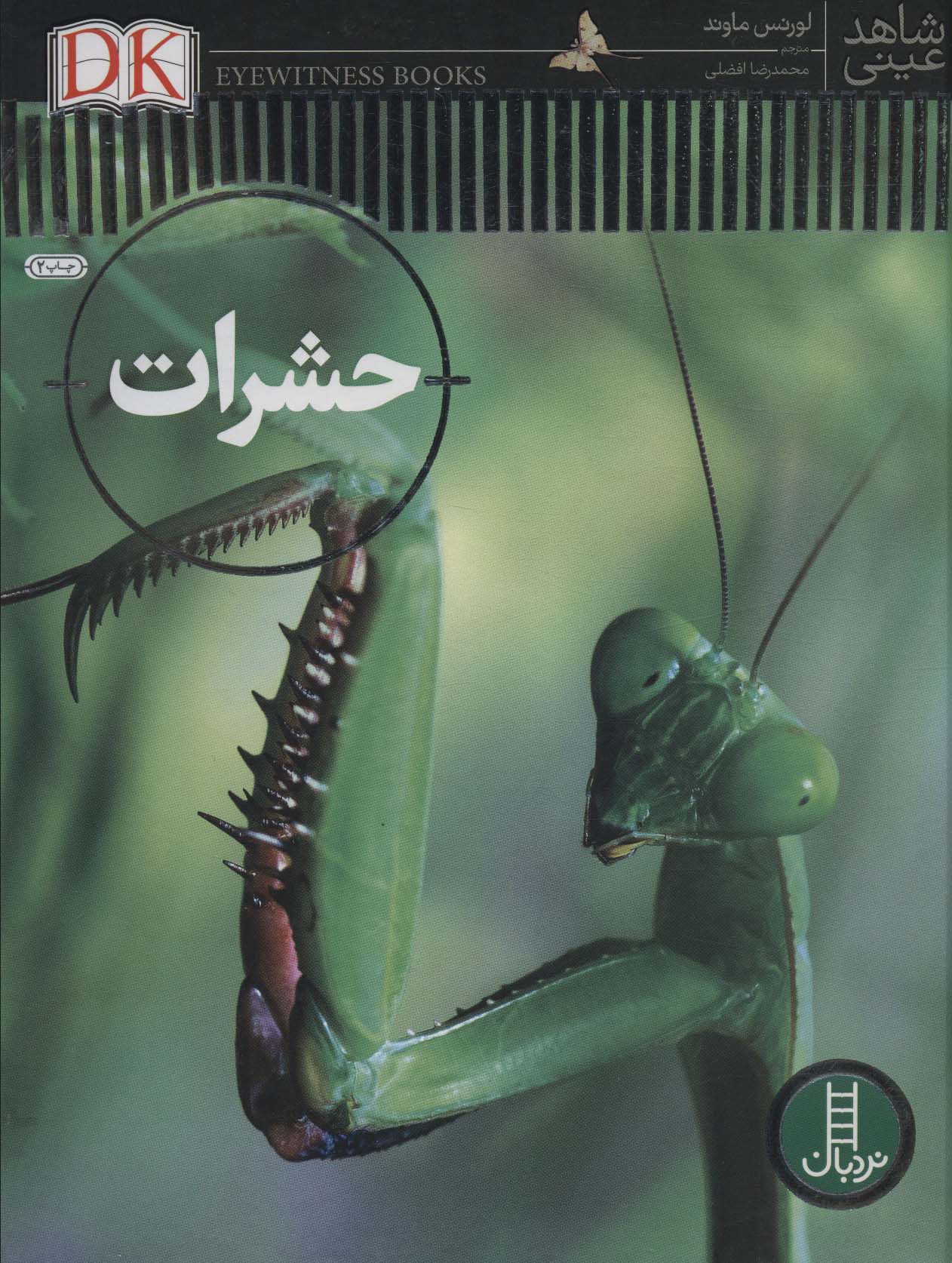 حشرات (شاهد عینی)،(گلاسه)