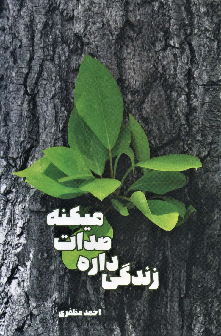 زندگی داره صدات میکنه