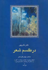 در طلسم شعر:منتخب چهار دفتر شعر (شعر معاصر ایران13)