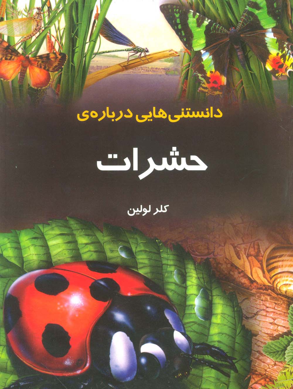 دانستنیهایی درباره ی حشرات (گلاسه)